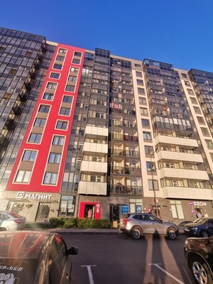 Продам однокомнатную (1-комн.) квартиру, Ручьевский пр-кт, 20, Мурино п