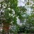 Продам 2-комн. в 3-комн. квартире, Александровская ул, 31, Ломоносов г