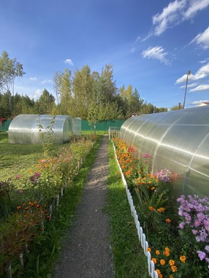 Продам дом, Надеждино д, 0 км от города