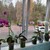 Продам трехкомнатную (3-комн.) квартиру, 5, Приладожский гп