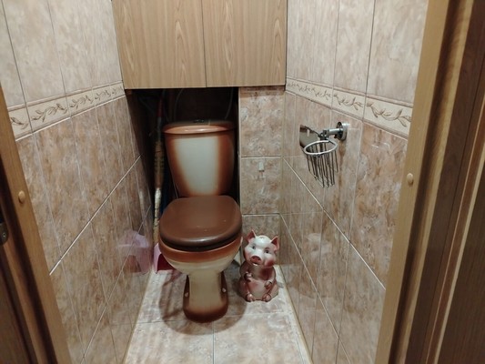 Продам трехкомнатную (3-комн.) квартиру, 5, Приладожский гп