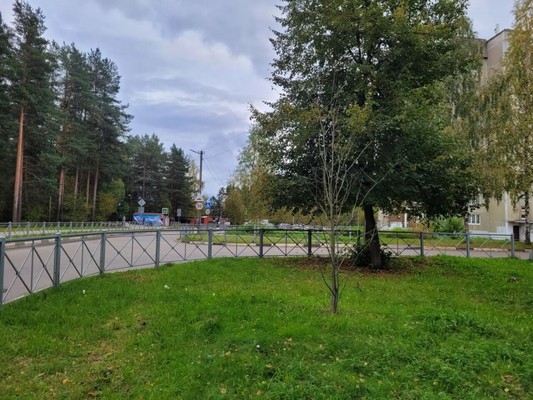 Продам трехкомнатную (3-комн.) квартиру, Гагарина ул, 12, Отрадное г