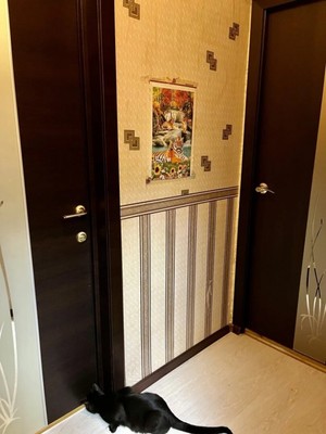 Продам трехкомнатную (3-комн.) квартиру, Ленина ул, 17, Отрадное г