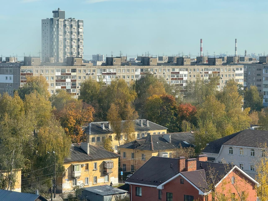 Продам однокомнатную (1-комн.) квартиру, Победная ул, 14, Нижний Новгород г