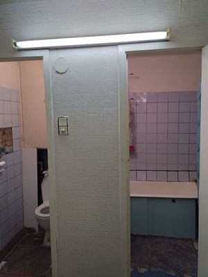 Продам двухкомнатную (2-комн.) квартиру, Долгоозёрная ул, 5К1, Санкт-Петербург г